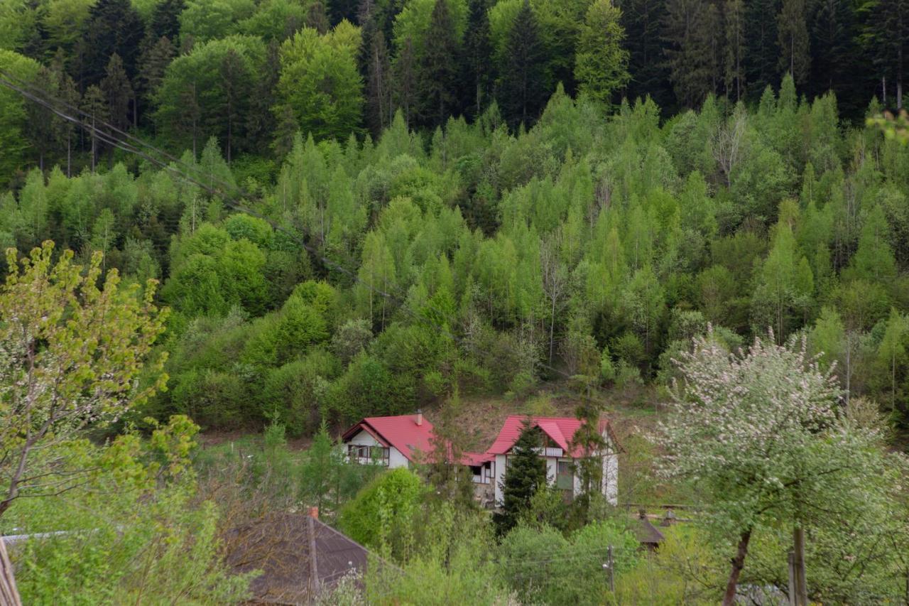 Kamyanka Villa Yaremche Luaran gambar